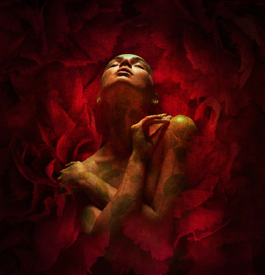 A woman folds her arms and surrounded by large red petals.